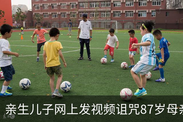 亲生儿子网上发视频诅咒87岁母亲“遭报应” 法院：血缘非侵权的“豁免事由”