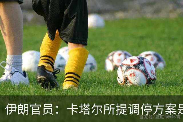 伊朗官员：卡塔尔所提调停方案是“无法接受的构想”
