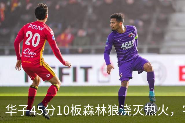 华子45分10板森林狼浇灭热火，字母哥首秀35+6三球21分6助攻