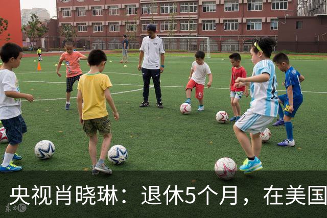 央视肖晓琳：退休5个月，在美国儿子家死去，临终的遗言太深刻了