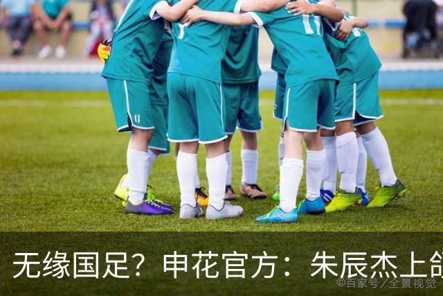 无缘国足？申花官方：朱辰杰上颌骨骨折 预计恢复期4-6周