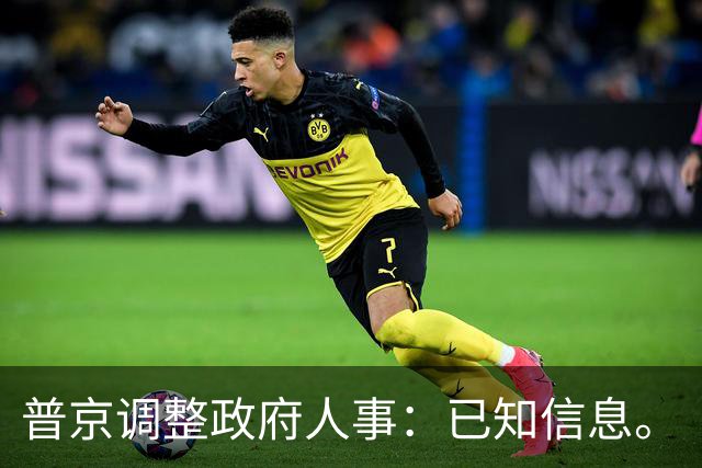 普京调整政府人事：已知信息。