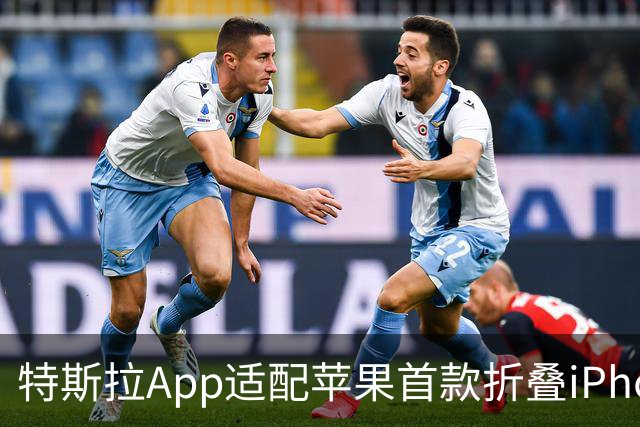 特斯拉App适配苹果首款折叠iPhone Duo，引入大屏双栏体验