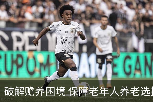 破解赡养困境 保障老年人养老选择权