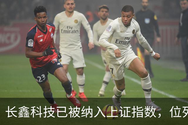 长鑫科技已被纳入上证指数，位列第一大权重股