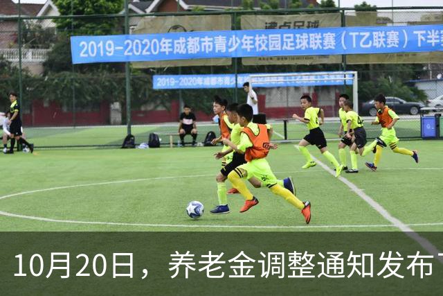 10月20日，养老金调整通知发布了吗？高收入者会否被特别对待？