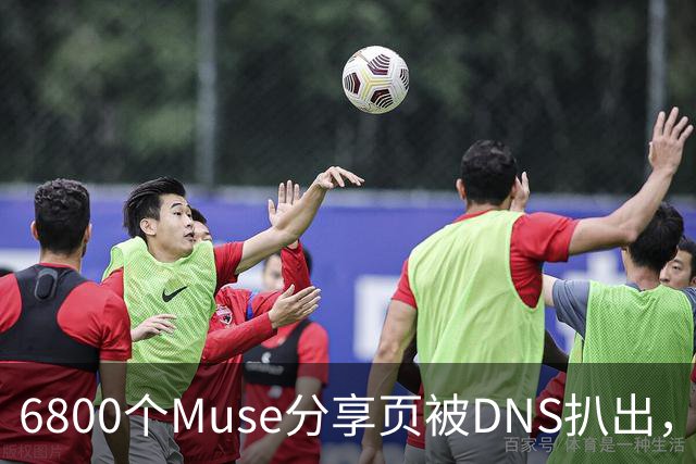 6800个Muse分享页被DNS扒出，Meta紧急暂停